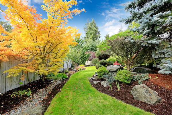 Backyard Landscaping John's island